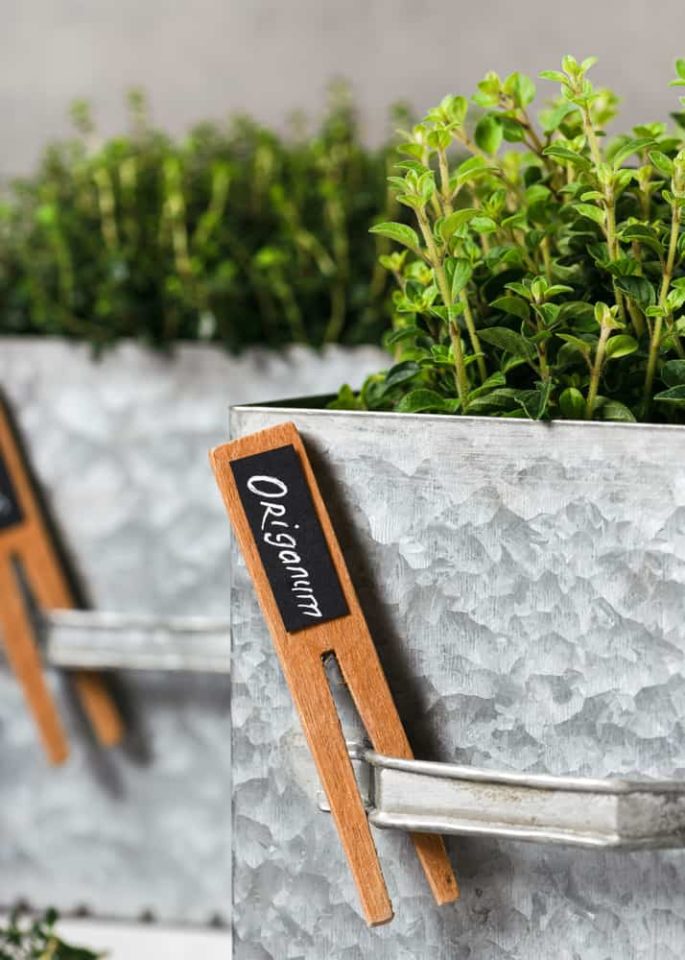 Plant Label Storage Ideas