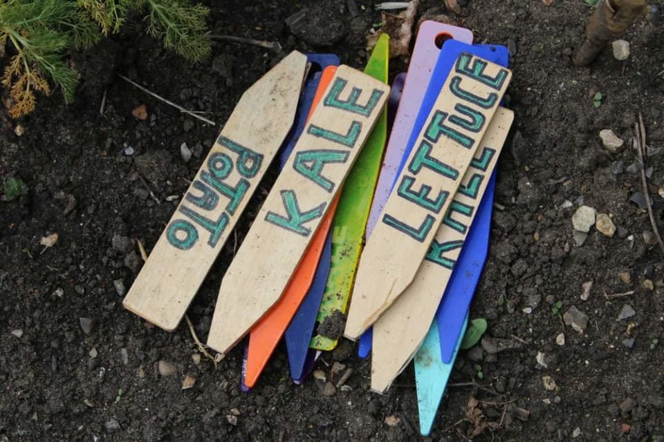 17 DIY Garden Plant Label & Marker Ideas