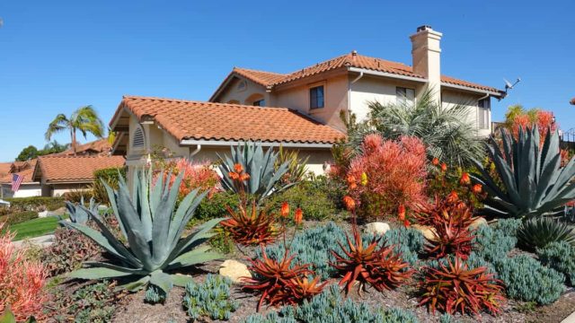 Foundation Plants: 16 Shrubs & Plants For The Front Of Your House