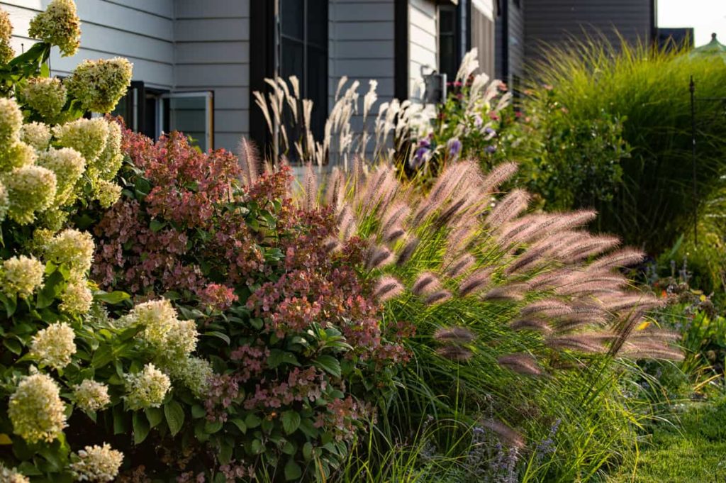 Foundation Plants 16 Shrubs, Landscaping Ideas Front Of House Zone 5