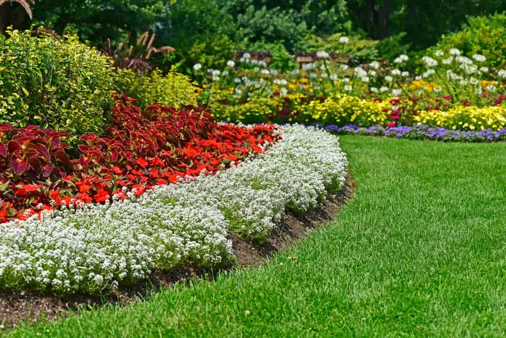 How To Build A Stunning Bedding Border For Your Garden Bed