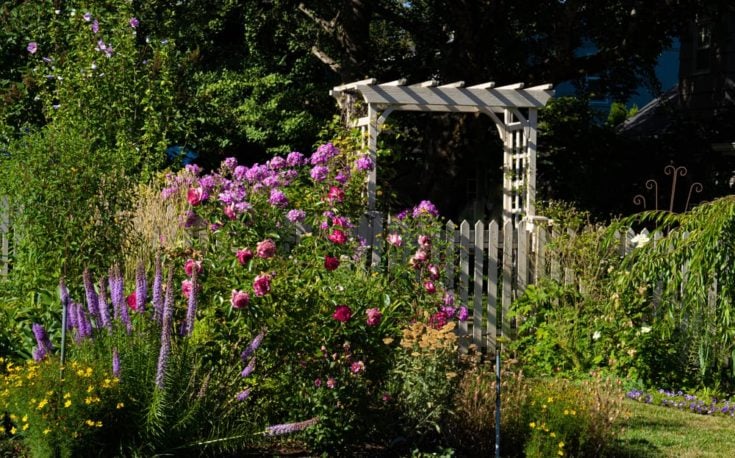 10 Easy DIY Garden Arbor & Arch Ideas