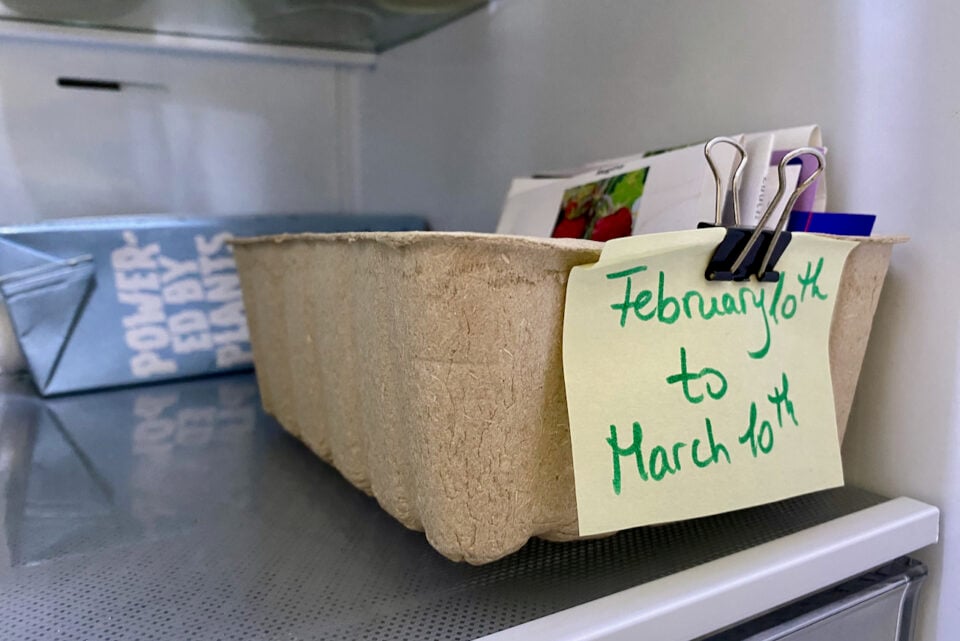 6 Ways to Cold Stratify Seeds (& 36 Plants That Need Stratification)