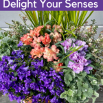 Spring container plant combinations