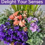 Spring container plant combinations
