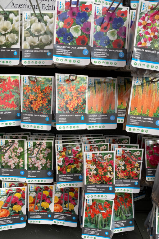 10 Mistakes Gardeners Make When Planting Perennials in Spring